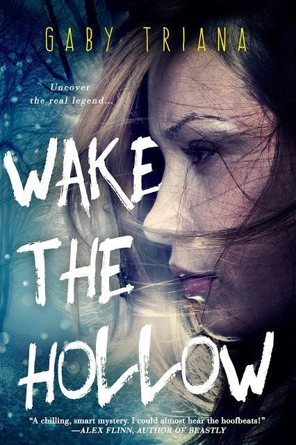 Wake The Hollow (Cover Reveal)