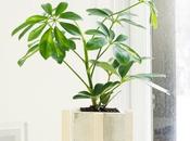 Cultivate Spring with This Concrete Planter Stand