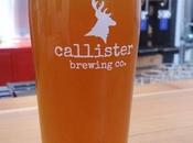 Belgian (Collabrewation) Callister Brewing (Luppolo Brewing)