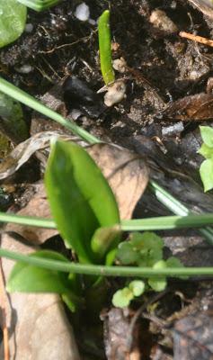 Mixed Messages Yesterday