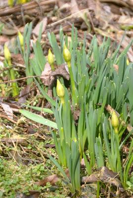 Mixed Messages Yesterday