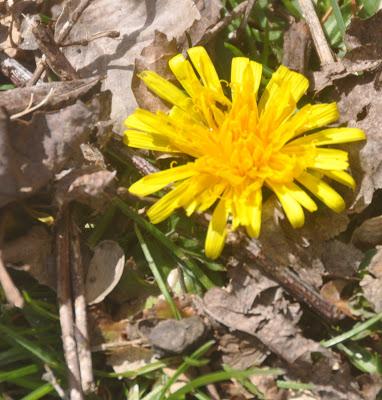 Mixed Messages Yesterday