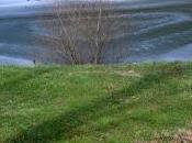 Mixed Messages Yesterday