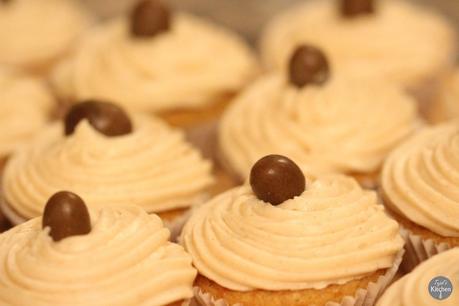 Pumpkin Spiced Cupcakes with Cinnamon Cream Cheese Frosting