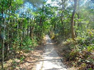 Hong Kong: Introducing Lantau Island