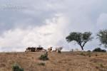 Alentejo Skies