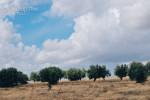 Alentejo Skies