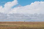 Alentejo Skies