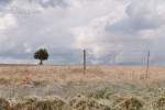 Alentejo Skies