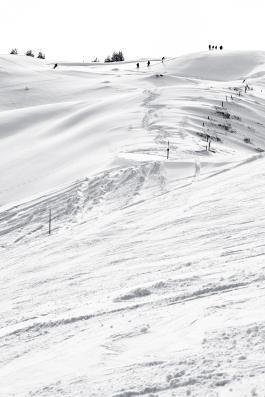Traces _DSC6519