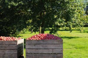 Dupont Harvest