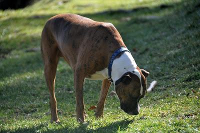And There Was Sun! And Shadows!