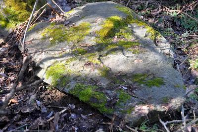 And There Was Sun! And Shadows!