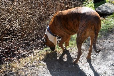 And There Was Sun! And Shadows!