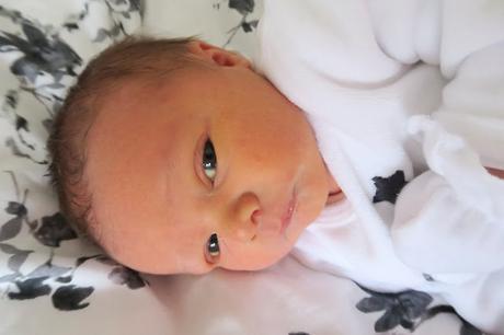 Introducing Sailor...