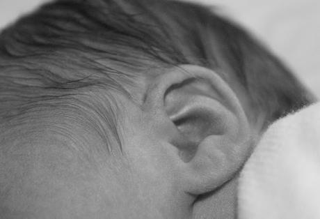 Introducing Sailor...