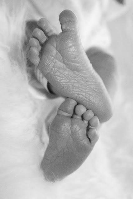 Introducing Sailor...