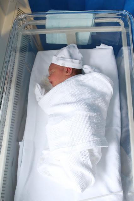 Introducing Sailor...