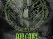 Bigfoot Stone Soldiers