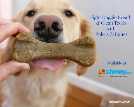 dog dental health, Zuke's Z-Bones #ChewyInfluencer