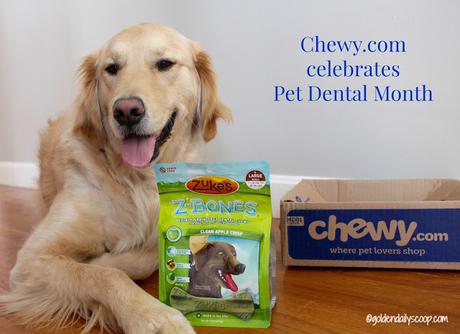 dog dental health, Zuke's Z-Bones #ChewyInfluencer