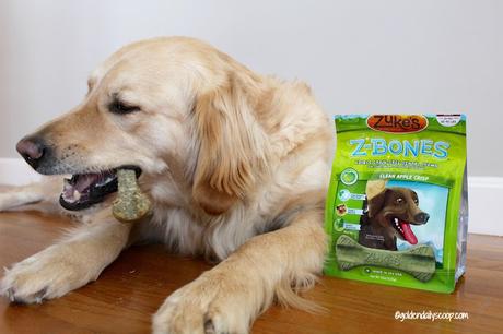 dog dental health, Zuke's Z-Bones #ChewyInfluencer