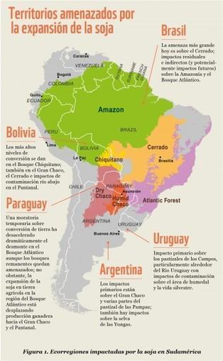 Seven million hectares of forests have been lost in Argentina over the past 20 years Seven million hectares of forests have been lost in Argentina over the past 20 years