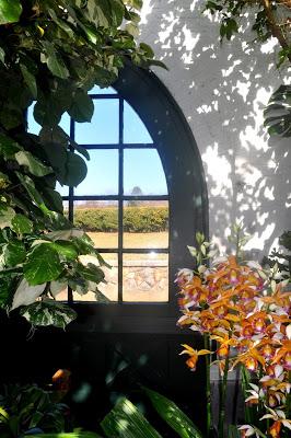 Mr. Vanderbilt's Greenhouse