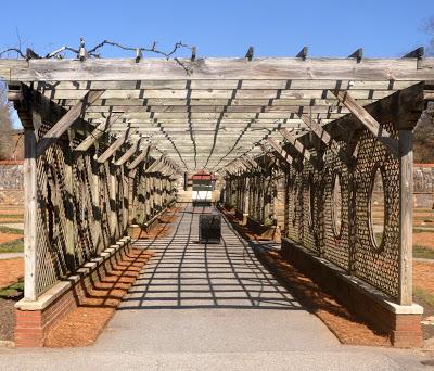 Mr. Vanderbilt's Greenhouse