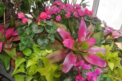 Mr. Vanderbilt's Greenhouse