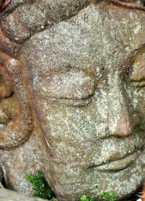 Mr. Vanderbilt's Greenhouse