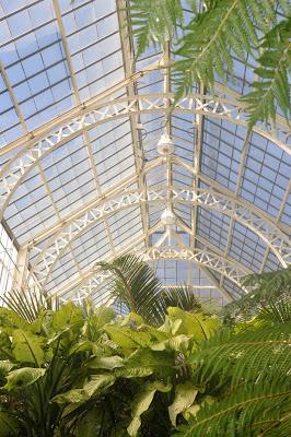 Mr. Vanderbilt's Greenhouse