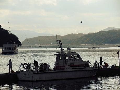 穏やかな入江をのぞむ舟屋のまちなみ、伊根 / Ine, funayas are built at the water’s edge.