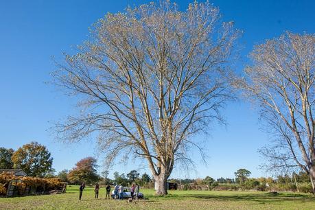 A Quirky Kiwi Wedding By The Official Photographers