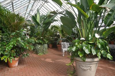 More from the Biltmore. . .