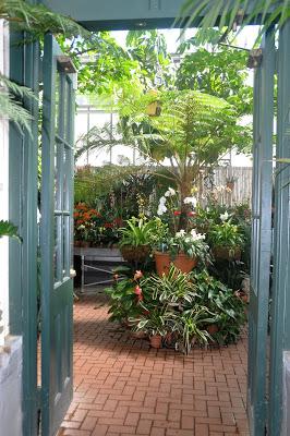 More from the Biltmore. . .