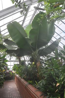 More from the Biltmore. . .