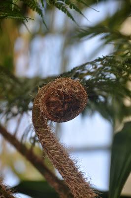 More from the Biltmore. . .