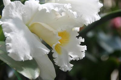 More from the Biltmore. . .