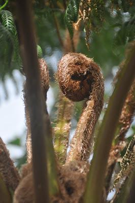More from the Biltmore. . .