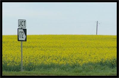 If earth is this beautiful...