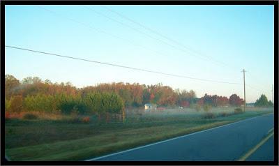 If earth is this beautiful...