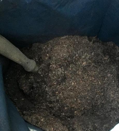 smell the fresh potting compost