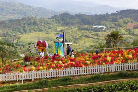 Sirao: Through the Garden, Through the Back Door