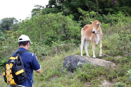 Sirao: Through the Garden, Through the Back Door