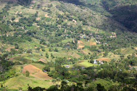 Sirao: Through the Garden, Through the Back Door