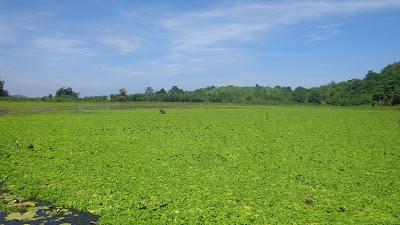 Chasing Lakes and Waterfalls in Occidental Mindoro