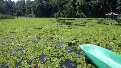 Chasing Lakes and Waterfalls in Occidental Mindoro