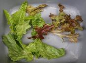 Harvest Monday 22nd 2016