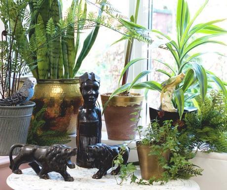 Urban Jungle Bloggers- Jungle Animals Urban Jungle Bloggers- Jungle Animals by MiaFleur #urbanjunglebloggers